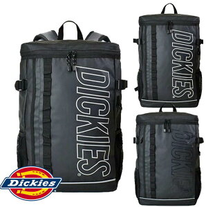 �f�B�b�L�[�Y �o�b�N�p�b�N �X�N�G�A ���S�����b�N 80054000 Dickies �u�����h �f�C�p�b�N �����b�N�T�b�N ���� �ʋ� �ʊw ����