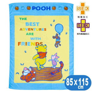 QPbg ܂̃v[ Ahx`[th ^IPbg qp  fBYj[ LN^[ ObY ۉH uPbg 85×115cm