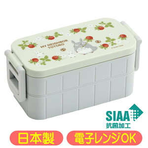 となりのトトロ 木苺 ランチボックス YZW3AG スケーター 抗菌 2段 弁当箱 スタジオジブリ キャラクター グッズ タイトランチ 日本製 600ml