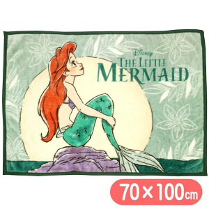 Ђ|ѕz g}[Ch EH[u[ uPbg fBYj[ vZX AG LN^[ H70×W100cm 