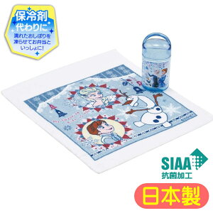 ڂZbg AiƐ̏ OA5AG XP[^[ 24 fBYj[ vZX LN^[ P[Xt ڂ ^I  R