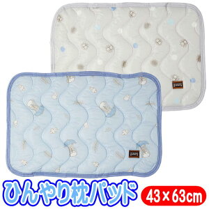 Ђ pbh ƂȂ̃gg  X^WIWu LN^[ ObY J̓ ZsA NXP Ђ ⊴  ₽ Q