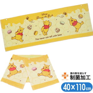 oX^I ܂̃v[ LLXC[g q X|[c^I WjA fBYj[ LN^[ LbY^I  ۉH 40×110cm