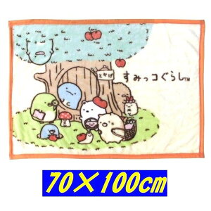 ݂R炵 j[}C[ Ђ|ѕz NH[^[Pbg 70×100 SG275-4 Ƃ̂ 4985036175785
