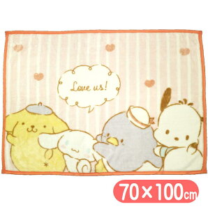 TILN^[Y L[g{[CY Ђ|ѕz uPbg TI LN^[ H70×W100cm  |`bR ^LV[hT