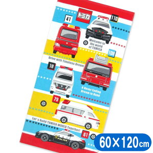 g~J oX^I Xg  LN^[ ^I у^I 60×120cm bh BO519800
