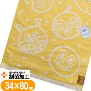 tFCX^I Ap} ӂp  q O^I LN^[ LbY^I 34×80cm I[KjbNRbg