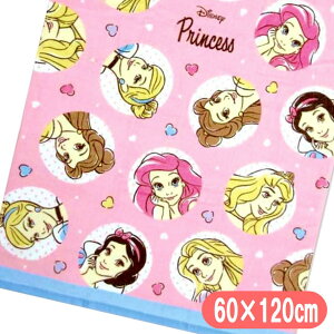 vZX oX^I X[^C fBYj[ LN^[ ^I у^I sN 60×120cm