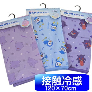 �ڐG�⊴ �u�����P�b�g �|�P�b�g�����X�^�[ ���^���� �J�r�S�� �|�b�`���} �Ђ���P�b�g �|�P���� �L�����N�^�[ �⊴ �X�{�Y�� 120cm×70cm