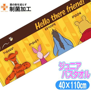 WjA oX^I ܂̃v[ CG[tY q X|[c^I fBYj[ LN^[ LbY^I 40×110cm 