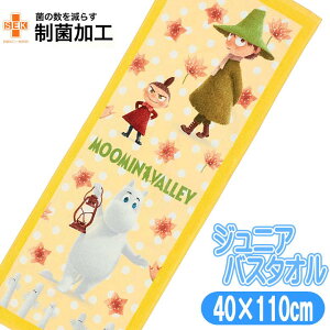 WjA oX^I [~ CG[[~ q X|[c^I MOOMIN LN^[ LbY^I 40×110cm 