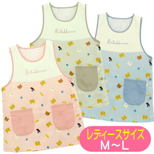 Gv bN} TGbNX LN^[ TCh{^ Ԃ Gv TWF 40364 ۈm fB[X 