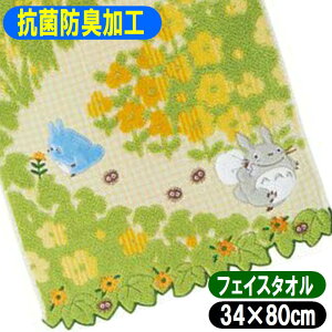 ƂȂ̃gg tFCX^Iʂ蓹  34×80cm Wu ObY LN^[ ^I RۖhLH 1005039100