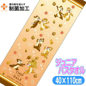 WjA oX^I `bvf[ y q X|[c^I fBYj[ LN^[ LbY^I 40×110cm 