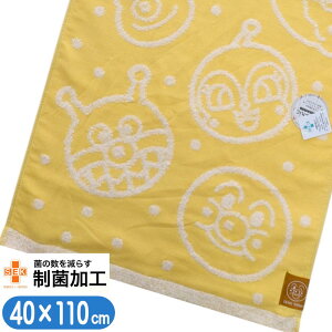 oX^I Ap} WjA ӂp  K[[ q X|[c^I LN^[ LbY^I RpNg oX^I 40×110cm