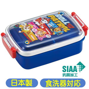 `{bNX pEEpg[ RBF3ANAG XP[^[ 24 ٓ ӂƃt^ R pEpg LN^[ ObY