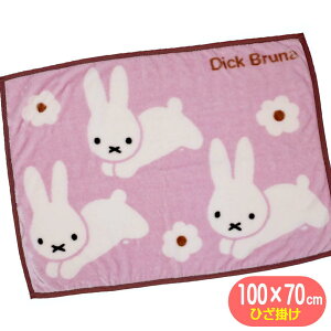 Ђ| ~btB[ fBbNu[i ̂  uPbg miffy LN^[ ѕz H70×W100cm 2880557