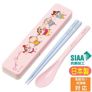 RrZbg N񂿂 XP[^[ 24 CCS3SAAG f Aj LN^[ ObY R { ̖Ȃ Xv[