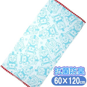 񂵂g[}X oX^I tFCXg[}X LN^[ RۖhLH 60×120cm  u[