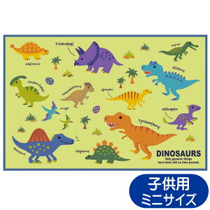 W[V[g fBmTEX sN`[ubN VS1 XP[^[  LN^[ qp 1lp V[g  sNjbN AEghA