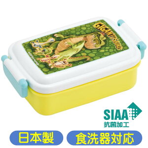 `{bNX MKgTEX RBF3ANAG XP[^[ 24 ٓ ӂƃt^ R  LN^[ ObY