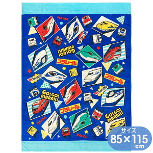 v[ xXgVbg QPbg V LN^[ ^IPbg 85×115cm  O4607 KO460700 }`^I u[