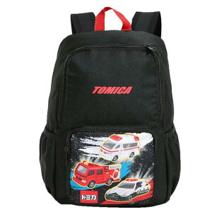 g~J bN }V DTM2-3900 tN^[t q LbY LN^[ bNTbN obN   s N