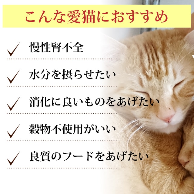 楽天市場 アニモンダ猫 ニーレン 七面鳥 100g 16缶腎臓療法食 インテグラプロテクト 猫缶 キャットフード ネコ用 猫用 餌 エサ ウェットフード 缶詰 慢性腎不全 腎臓病 ターキー 療法食 まとめ買い 帝塚山ハウンドカム 楽天市場店