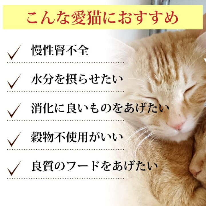 楽天市場 アニモンダ 猫インテグラプロテクト ニーレン 腎臓療法食 5つの味セット 100g 5個 猫缶 キャットフード ネコ用 猫用 餌 エサ ウェットフード 缶詰 慢性腎不全 腎臓病 帝塚山ハウンドカム 楽天市場店