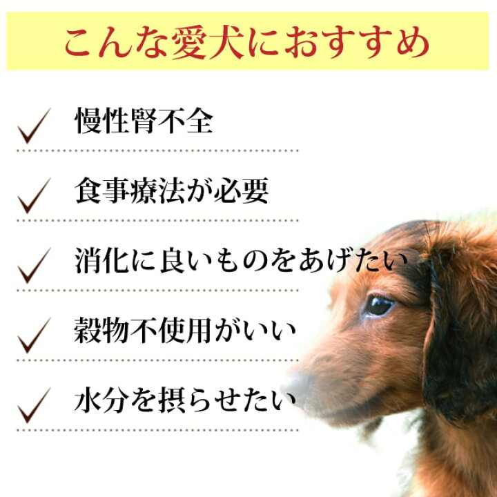 楽天市場 アニモンダ犬 腎臓ケア ニーレン 豚150g 腎臓療法食 穀物不使用 グレインフリー インテグラプロテクト 犬用 ウェットフード 犬 食事療法食 腎臓 腎臓食 腎臓をサポートするための低リン 低タンパク ドッグ 缶詰 療法食 ウエット いぬ 餌 エサ 慢性腎不全