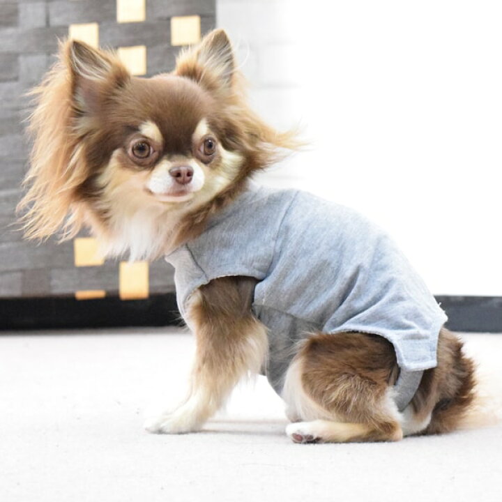 楽天市場】犬用 術後カバー服 小型犬用（サイズ24・27）トイプードル 