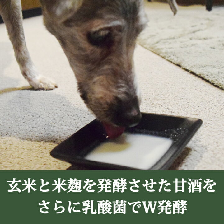 楽天市場】犬猫用 ノンアルコール甘酒 腎臓に優しい 発酵のめぐみ 12本セット 玄米 150g 甘酒 乳酸菌 食物繊維 ビタミン 植物性乳菌 約150兆個 トッピング 手作り食 ペット用 犬用 猫用 低リン 低カリウム お得 低タンパク質 : 帝塚山ハウンドカム 楽天市場店