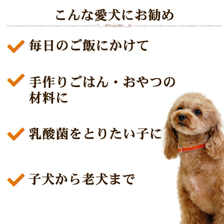 楽天市場】犬猫用 ノンアルコール甘酒 腎臓に優しい 発酵のめぐみ 12本セット 玄米 150g 甘酒 乳酸菌 食物繊維 ビタミン 植物性乳菌 約150兆個 トッピング 手作り食 ペット用 犬用 猫用 低リン 低カリウム お得 低タンパク質 : 帝塚山ハウンドカム 楽天市場店
