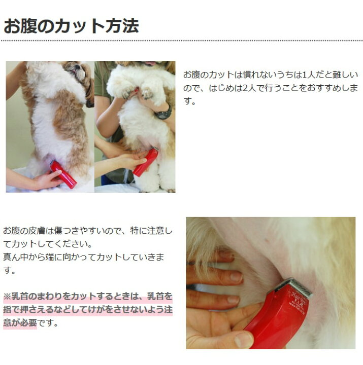 楽天市場 犬 ペット用バリカン ドッグヘアーペン トリマー君 0 6mm刃 部分カット 小型 お尻の毛 足の毛 肉球周り 軽い 電池式 介護 足裏 肛門まわり 自宅で簡単にトリミングできる 帝塚山ハウンドカム 楽天市場店