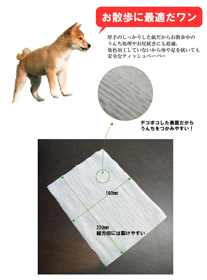 楽天市場 トイレに流せるティッシュ 1000枚入り ほか犬 散歩 マナーポーチ 猫 うんち トイレ おさんぽ お散歩 水に流せるティッシュ 流せる 犬用 猫用 犬のトイレ 愛犬 愛猫 ドッグ 帝塚山ハウンドカム 楽天市場店