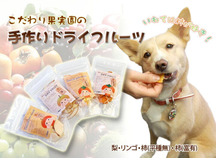 楽天市場 犬用おやつ こだわり果実園の手作り ドライフルーツ無添加 ドッグフード 無添加ドッグフード A0094 A0095 A0096 ペットフード ペット用品 犬のおやつ オヤツ ペット用 いぬ A0097 帝塚山ハウンドカム 楽天市場店