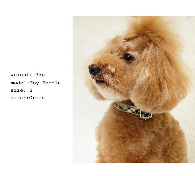 【楽天市場】愛犬 首輪 ASHU トラッド カラーSサイズ首輪 【リードは別売り】 小型犬子犬 チェック柄 赤 レッド グリーン 小型犬