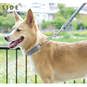   킢 jbgn[t`[N MTCY ^p ASHU ˎRnEhJ  E[ _炩 H~ S`F[ P Vv Č R[M[ {[_[R[ jbgn