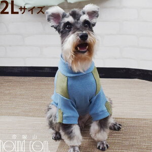 yN[|zzzCinofilo bt؂ւnClbN 2LTCY p EFA@H~@