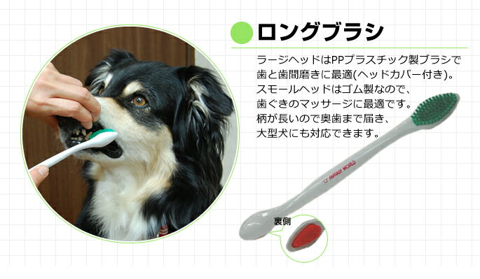 楽天市場 大型犬用 歯ブラシ コンボ デンタブラシdx 歯磨き嫌いな大型犬におすすめ 大型犬デンタルケア 使いやすい歯ブラシ 帝塚山ハウンドカム 楽天市場店
