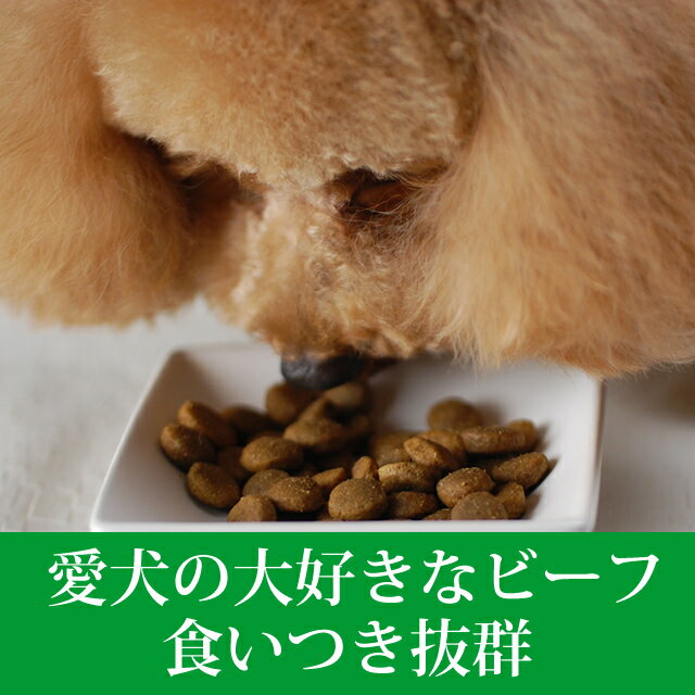 トライプドライドッグフード食いつき抜群生きた栄養素たっぷりのドッグフードトライプドッグフード消化に優れたプレミアムドッグフード【ビーフ】907g【ワンコ】