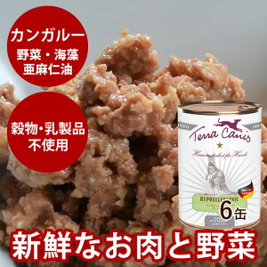 eJjX@nC|@JK[@400g6ʃZbg@჊i0.13%j@pʋl@ʐH@sgpiOCt[j@hbOt[h@EFbgt[h@Y@JK[ƃp[Xjb