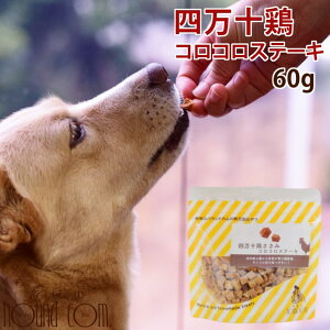 犬 おやつ 無添加 国産 低脂肪 四万十鶏ささみコロコロステーキ 60g 無添加 国産 低脂肪 ジャーキー 犬 の おやつ 猫 小型犬 ササミ 鶏肉 チキン