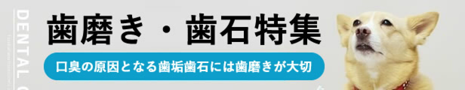固定だから消さないでね