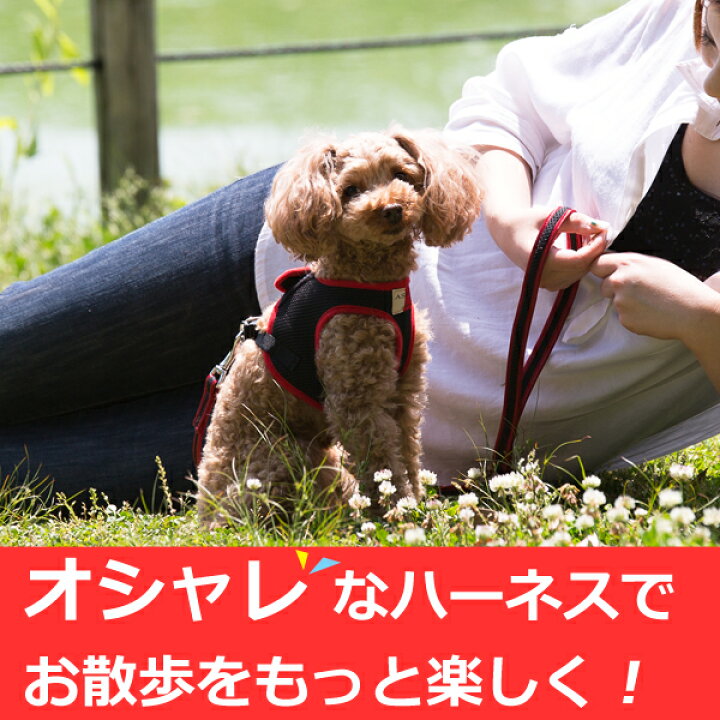 楽天市場 Ashuウェアハーネス リードセットxl 中型犬 ハーネス ハーネスリード ベストみたいで 犬ハーネス ペット用品 犬用品 柴犬 コーギー おしゃれ 犬用ハーネス 散歩用リード 豆柴 豆しば 一体型 お散歩 ペット ドッグ アッシュ 服の上から 老犬 ハーネス 高齢犬