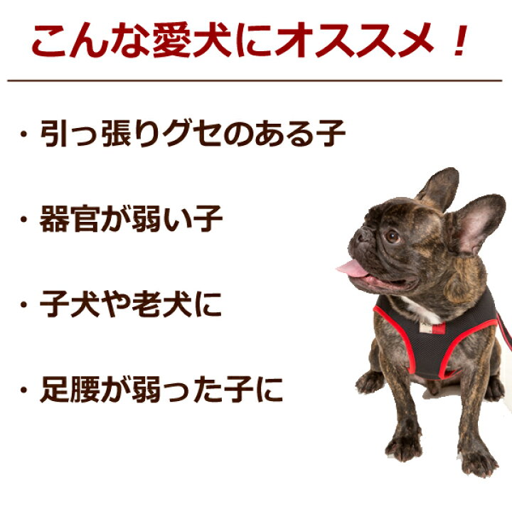 楽天市場 Ashuウェアハーネス リードセットxl 中型犬 ハーネス ハーネスリード ベストみたいで 犬ハーネス ペット用品 犬用品 柴犬 コーギー おしゃれ 犬用ハーネス 散歩用リード 豆柴 豆しば 一体型 お散歩 ペット ドッグ アッシュ 服の上から 老犬 ハーネス 高齢犬