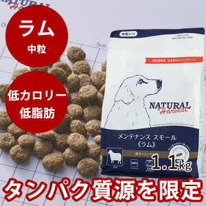 yN[|zzzi`n[xXg@eiXX[@@1.1kg1܁@NEWpbP[W @YhbOt[h@hCt[h@@VjA@p@ᎉb@J[