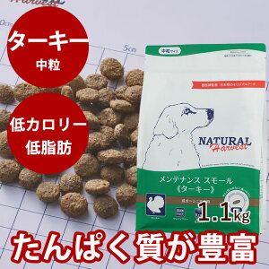 yN[|zzzi`n[xXg eiXX[@^[L[@1.1kg1܁@NEWpbP[W@OCt[@ @YhbOt[h@hCt[h@@VjA@