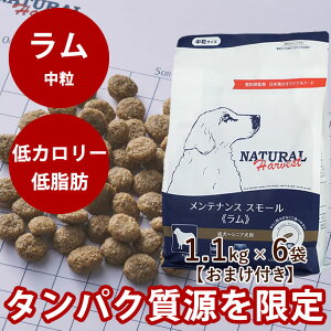 yN[|zzzi`n[xXg@eiXX[@@1.1kg×6܃Zbg@NEWpbP[W @YhbOt[h@hCt[h@@VjA@p@ᎉb@