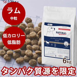 yN[|zzzi`n[xXg@eiXX[@@6kg@NEWpbP[W @YhbOt[h@hCt[h@@VjA@p@ᎉb@J[